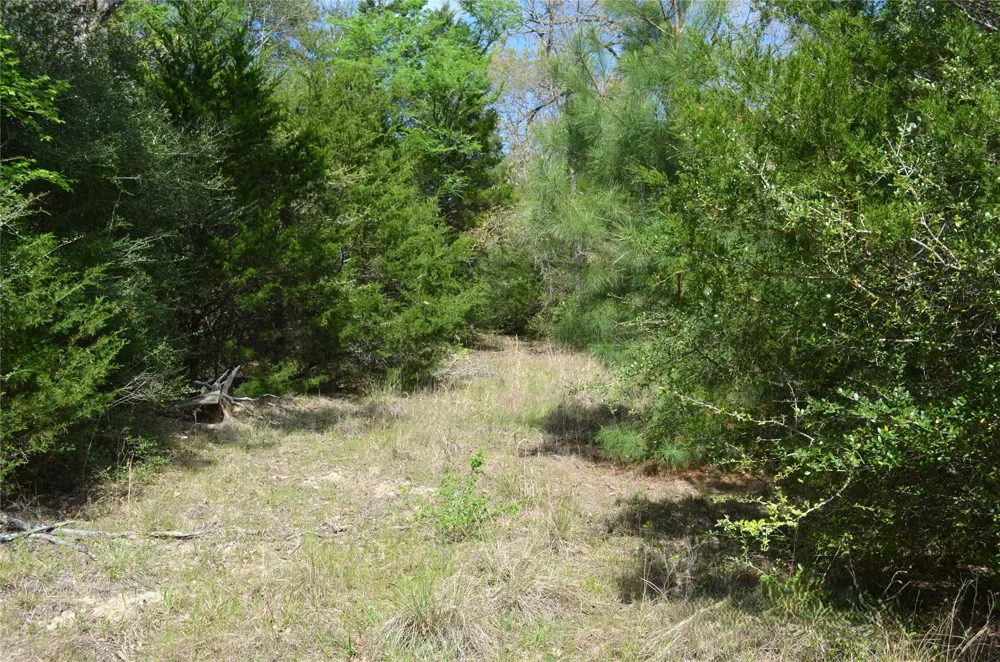 977 E Leona, TX 75850