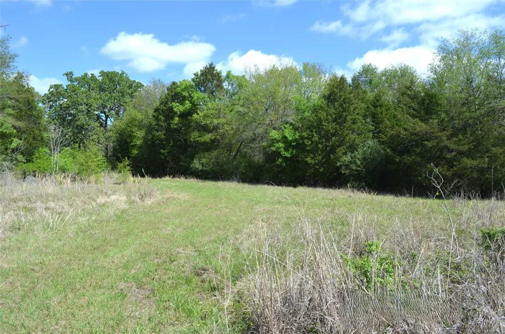 977 E Leona, TX 75850