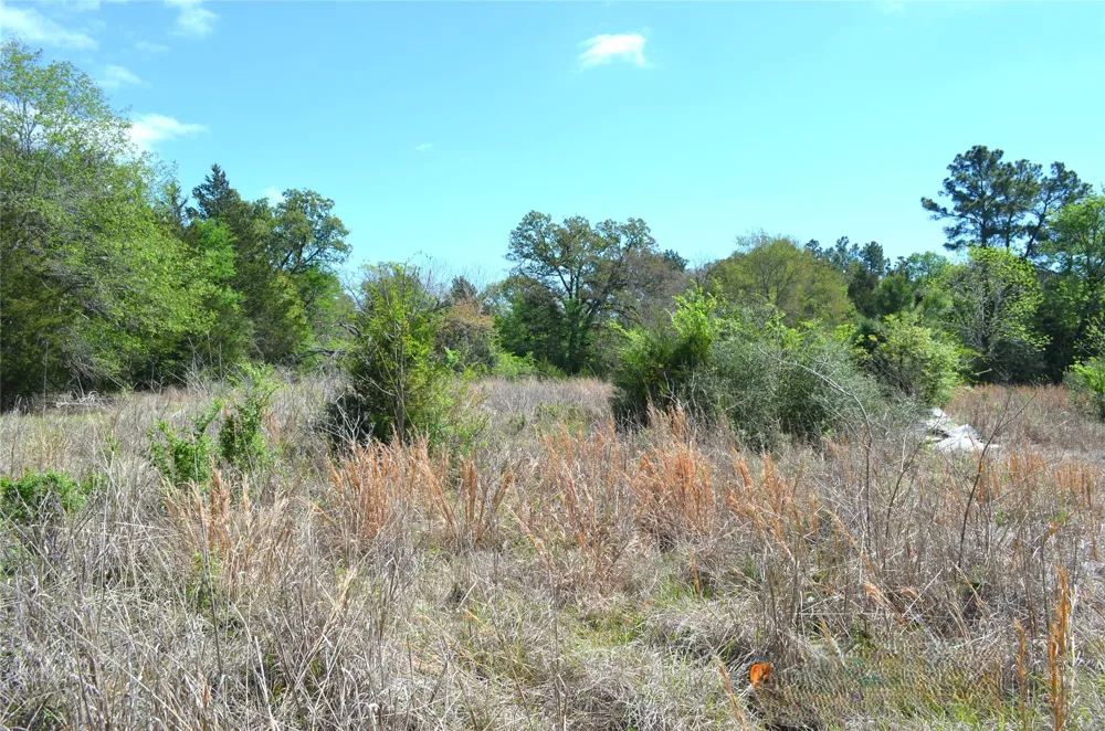 977 E Leona, TX 75850