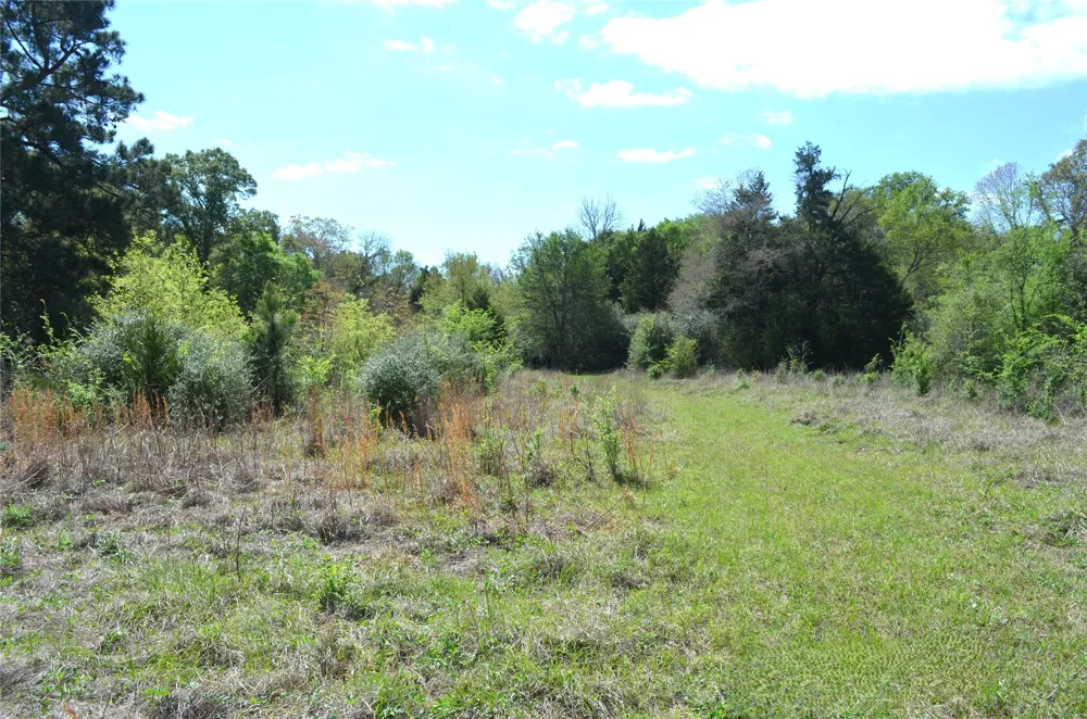 977 E Leona, TX 75850