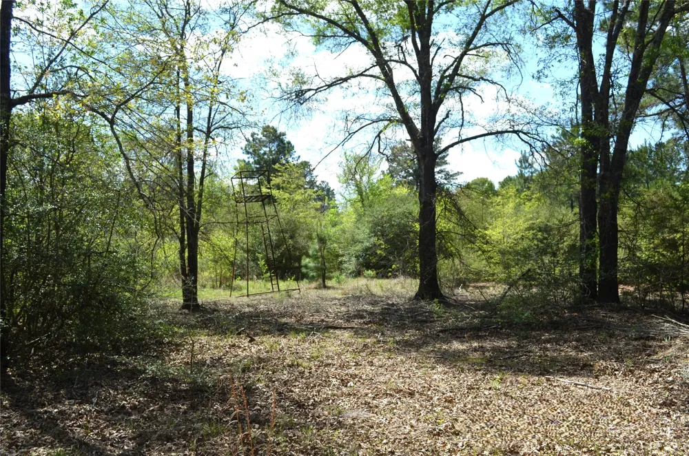 977 E Leona, TX 75850