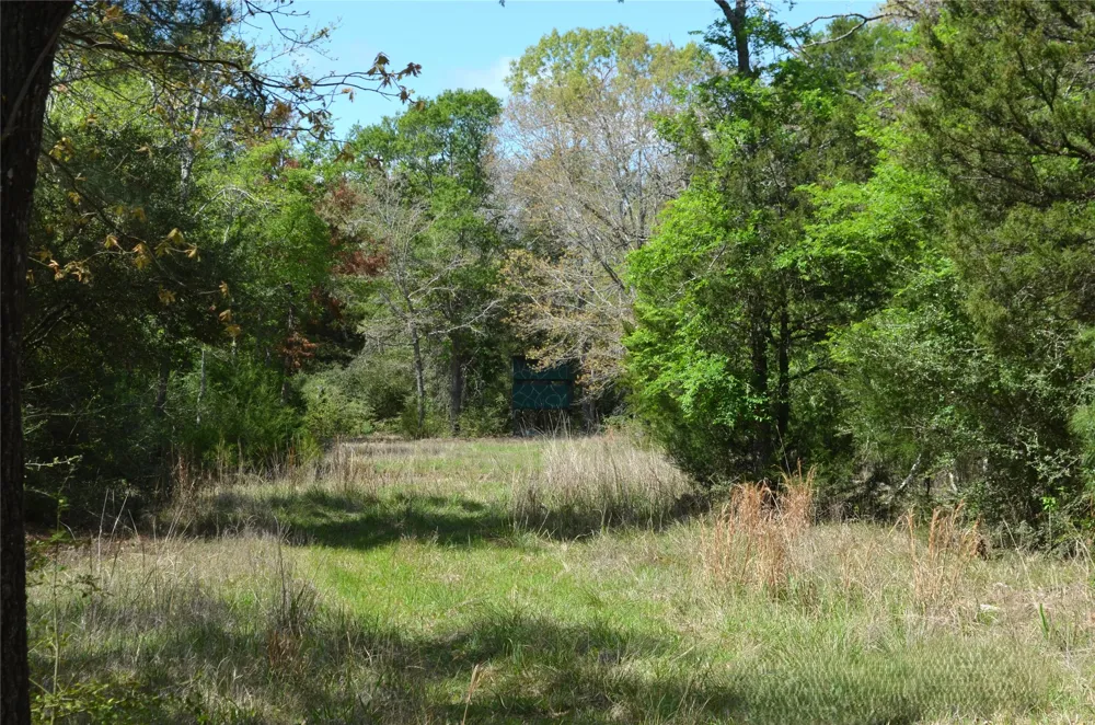 977 E Leona, TX 75850