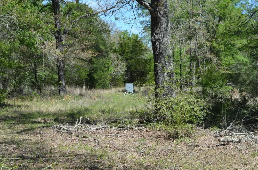 977 E Leona, TX 75850
