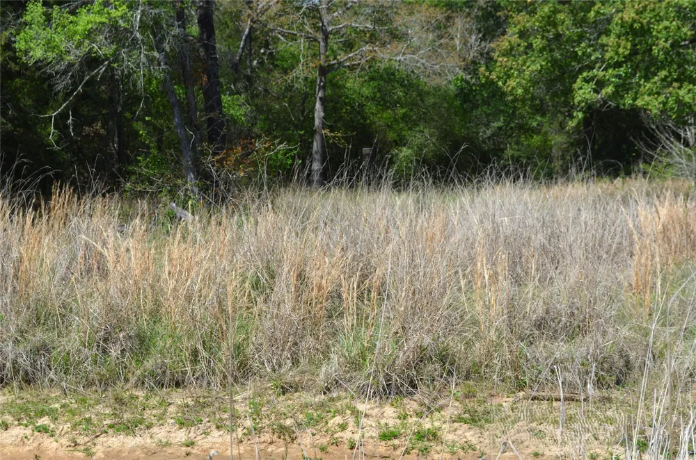 977 E Leona, TX 75850
