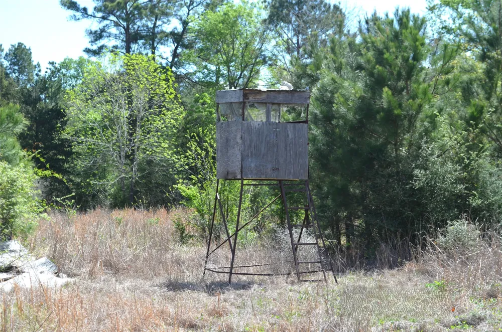 977 E Leona, TX 75850