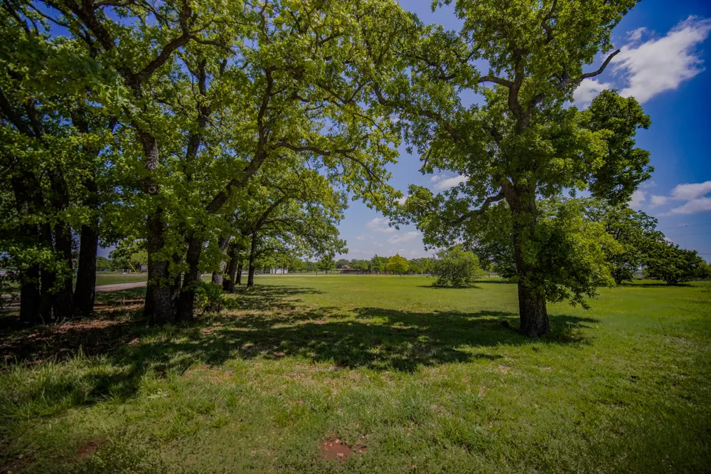 1201 Synterra Estates Loop Jacksboro, TX 76458
