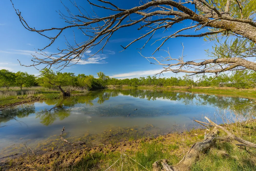 C.R. 132 Coleman, TX 76834