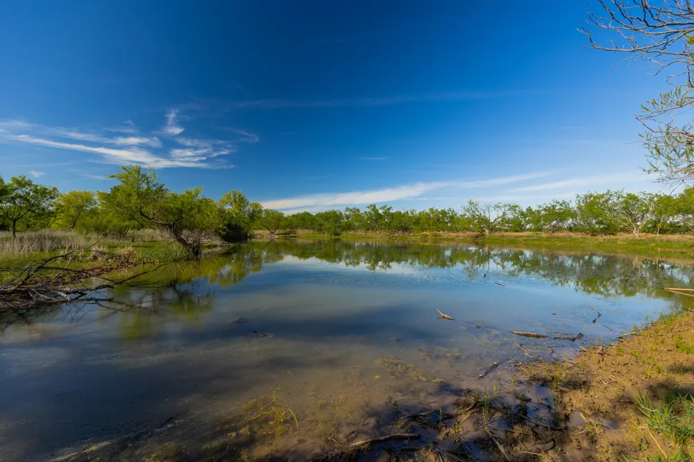 C.R. 132 Coleman, TX 76834
