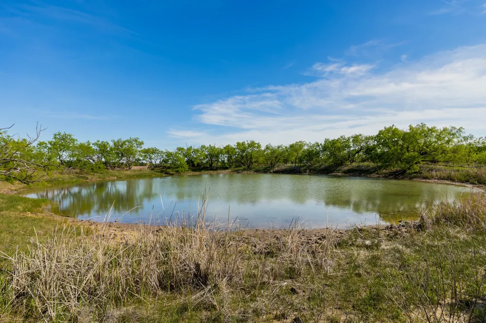 C.R. 132 Coleman, TX 76834