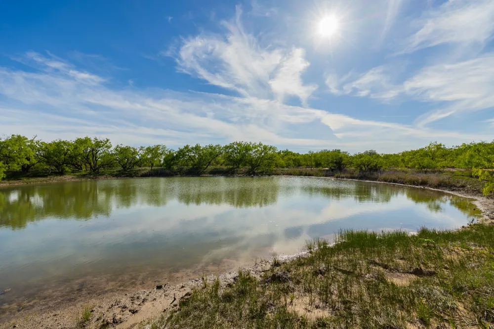 C.R. 132 Coleman, TX 76834