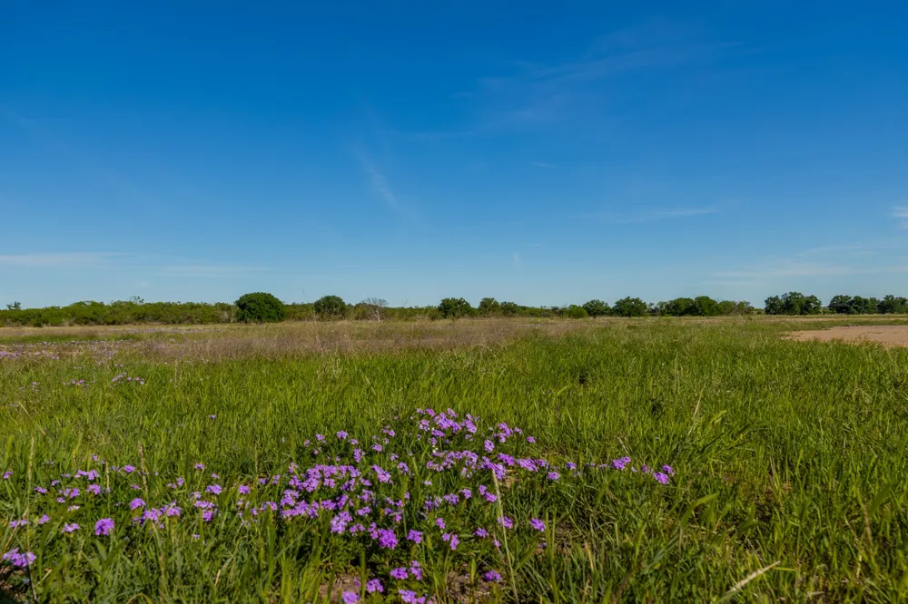 C.R. 132 Coleman, TX 76834