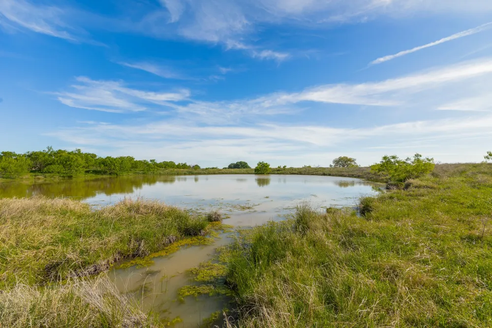 C.R. 132 Coleman, TX 76834