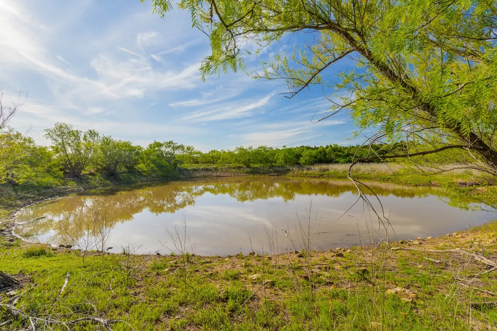 C.R. 132 Coleman, TX 76834