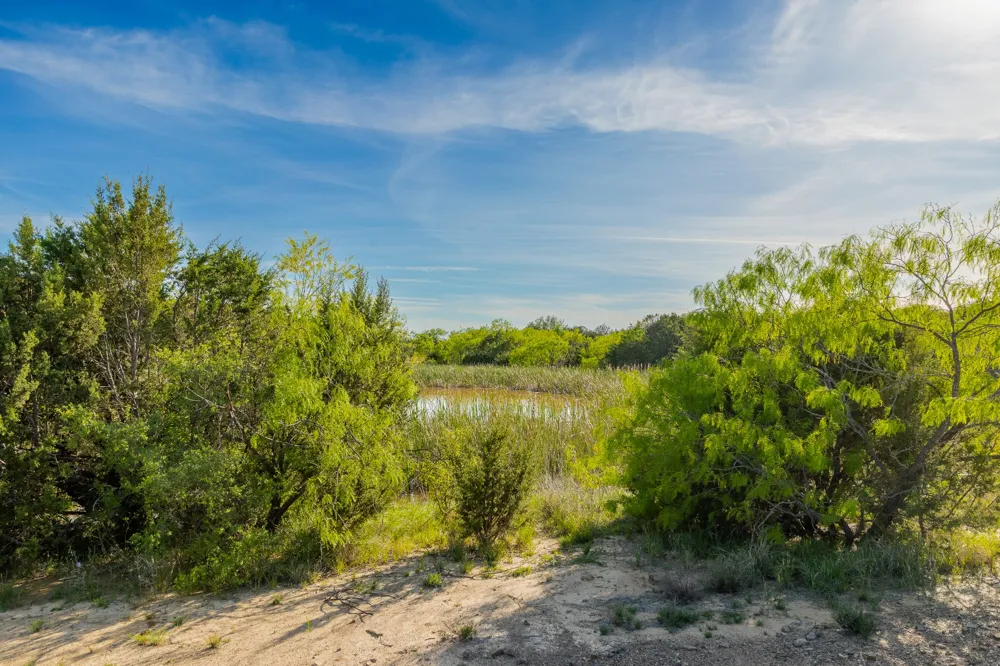 C.R. 132 Coleman, TX 76834