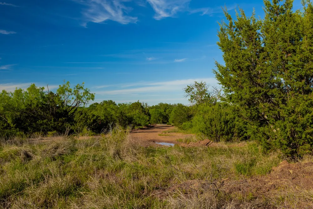 C.R. 132 Coleman, TX 76834