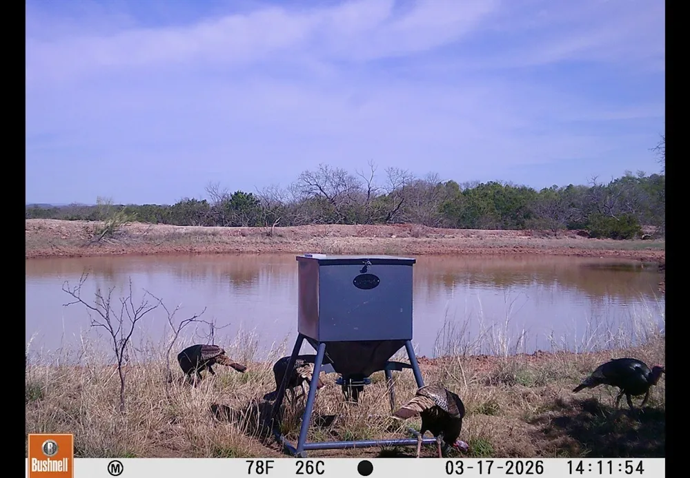 C.R. 132 Coleman, TX 76834