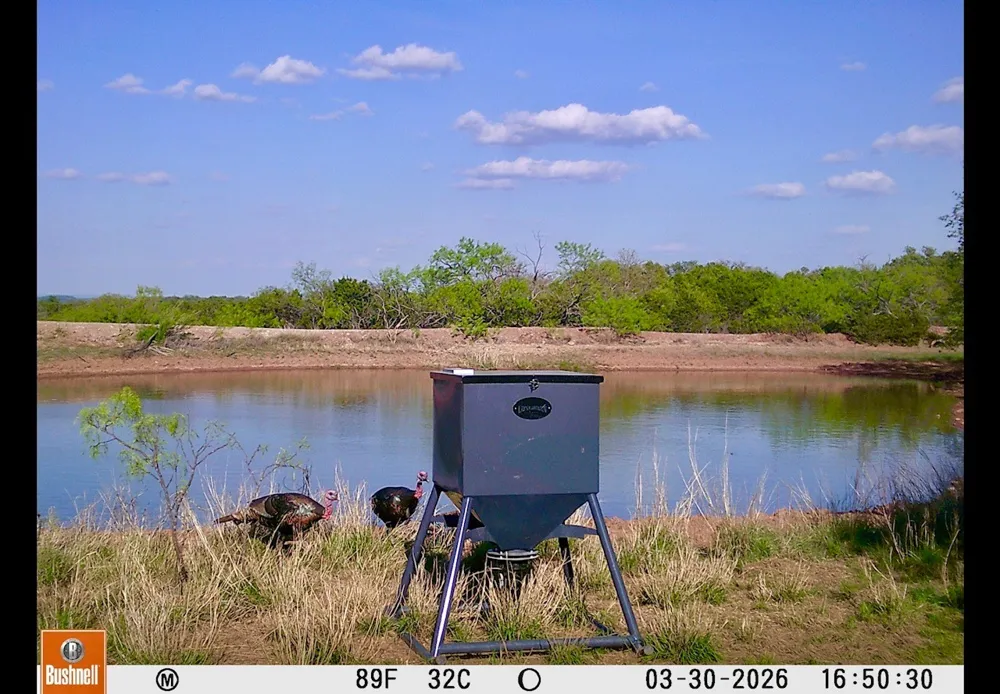 C.R. 132 Coleman, TX 76834