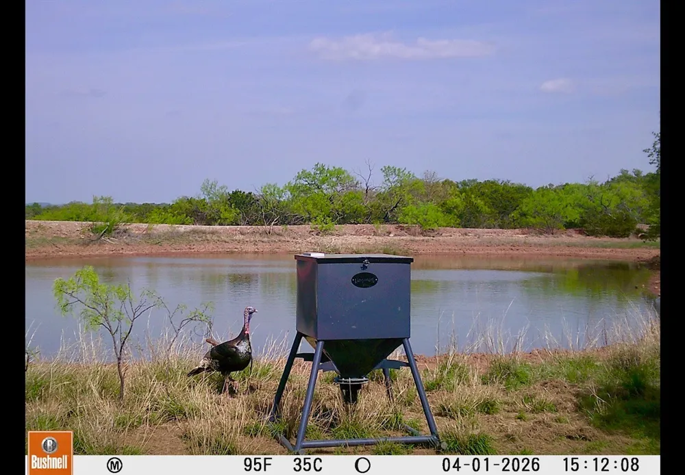C.R. 132 Coleman, TX 76834