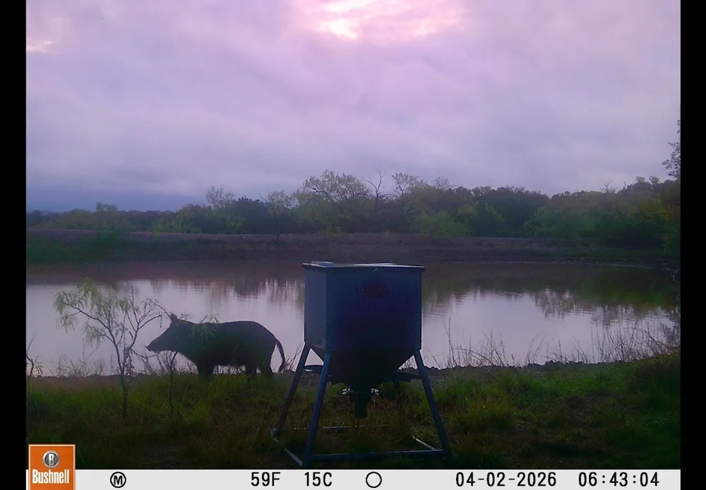 C.R. 132 Coleman, TX 76834
