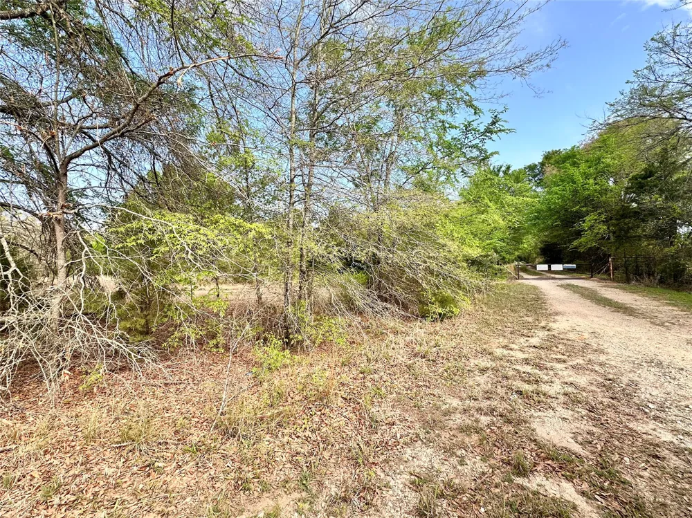 CR 3508 Murchison, TX 75756