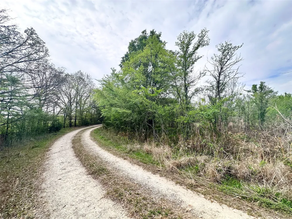 CR 3508 Murchison, TX 75756