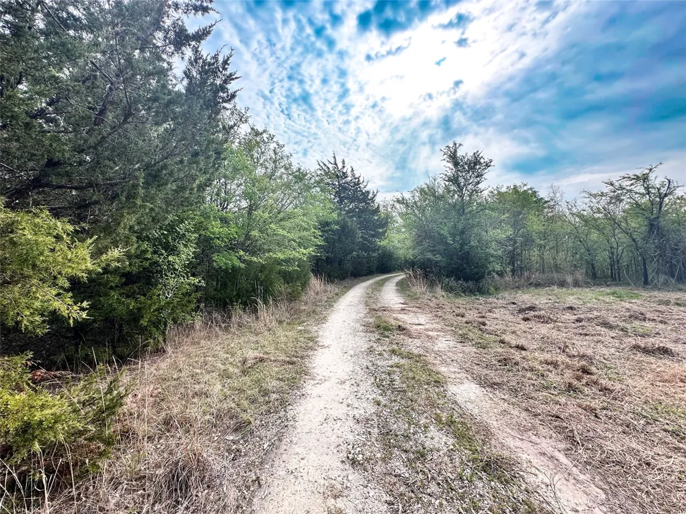 CR 3508 Murchison, TX 75756