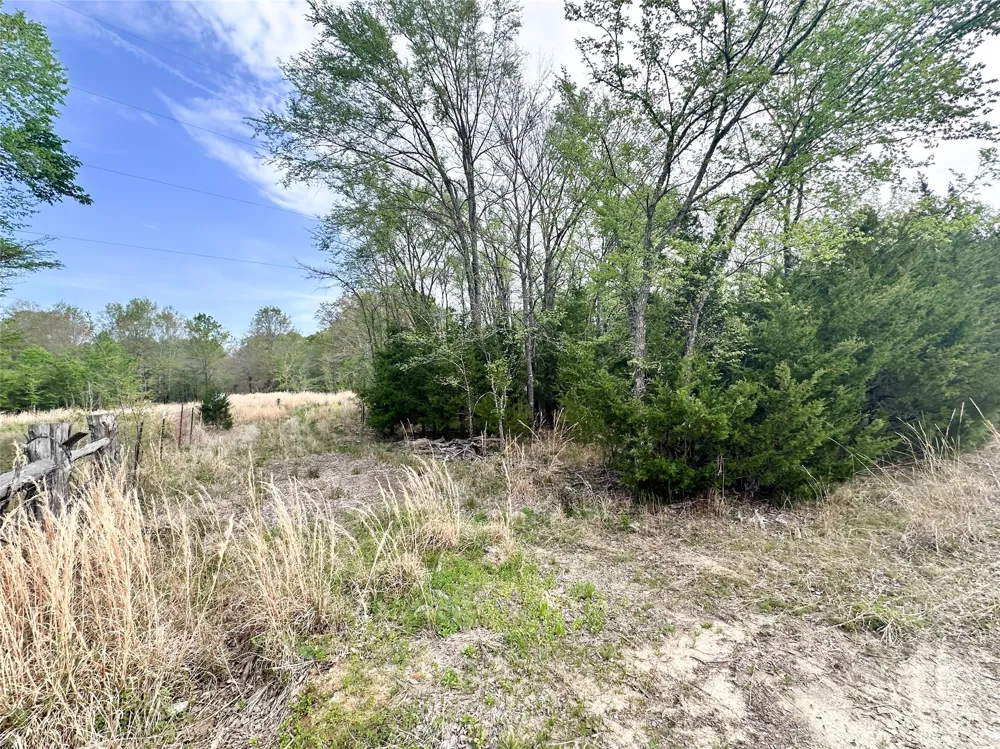 CR 3508 Murchison, TX 75756