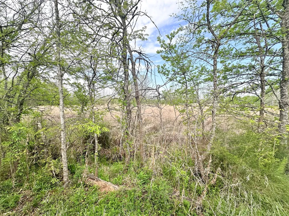 CR 3508 Murchison, TX 75756