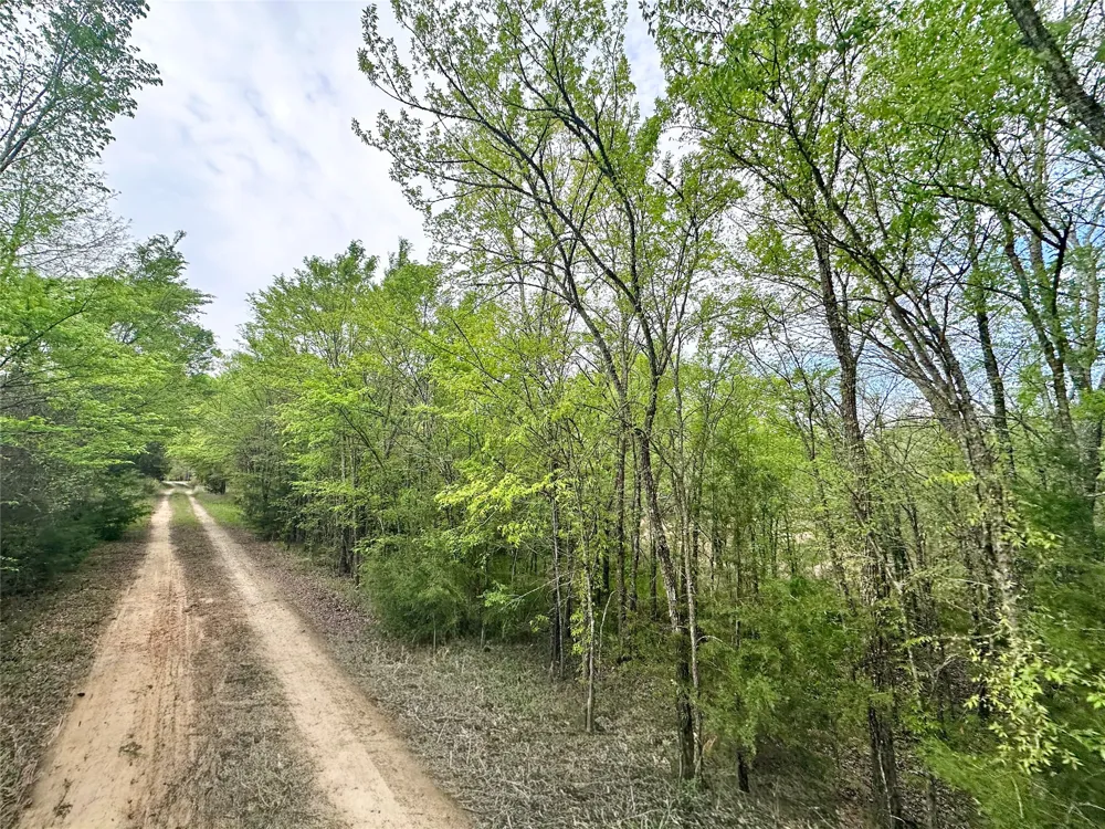 CR 3508 Murchison, TX 75756