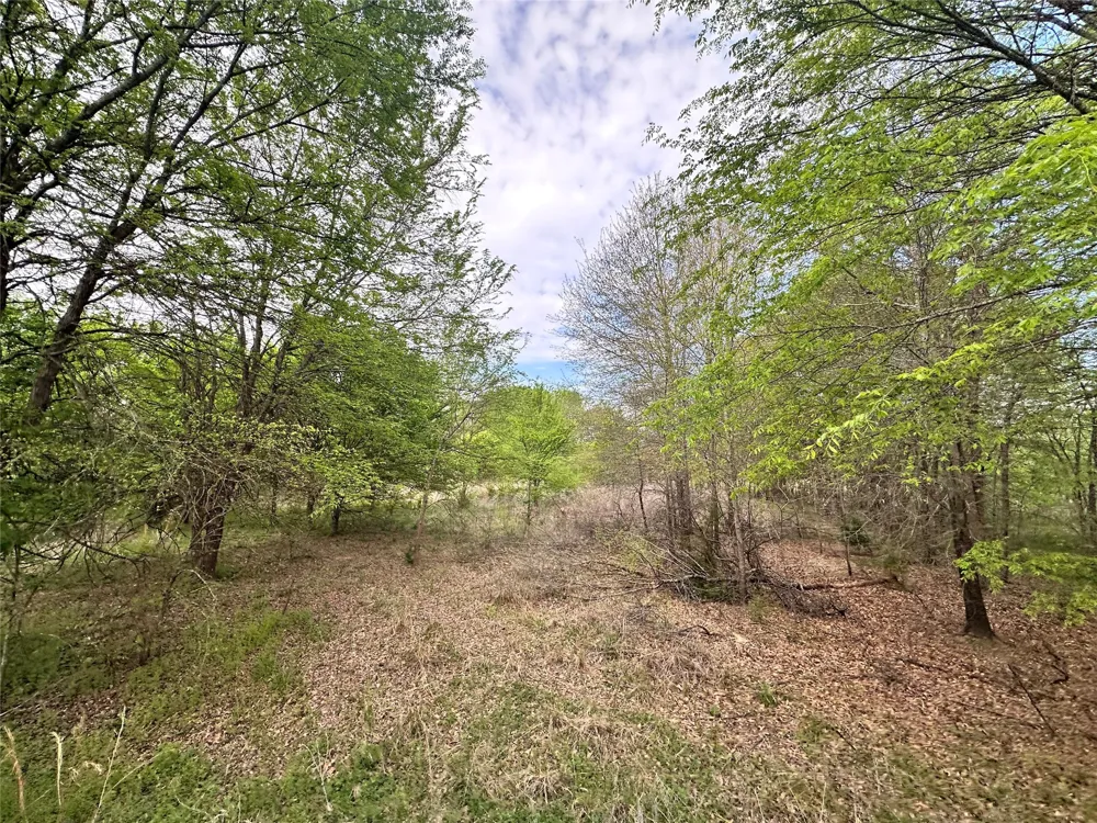 CR 3508 Murchison, TX 75756