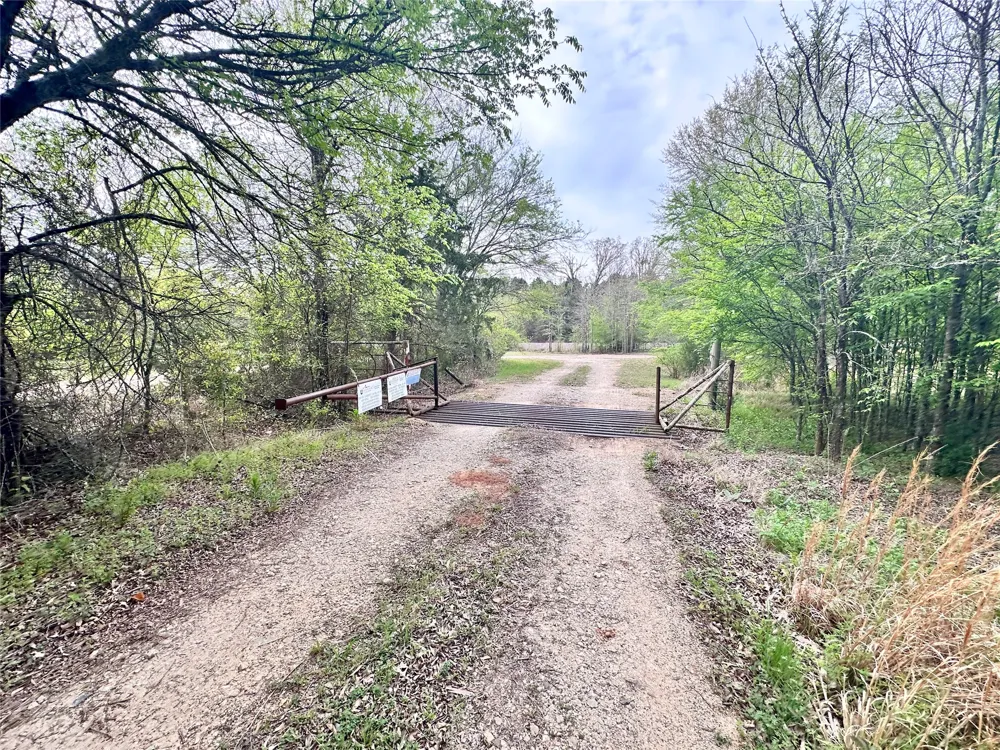 CR 3508 Murchison, TX 75756