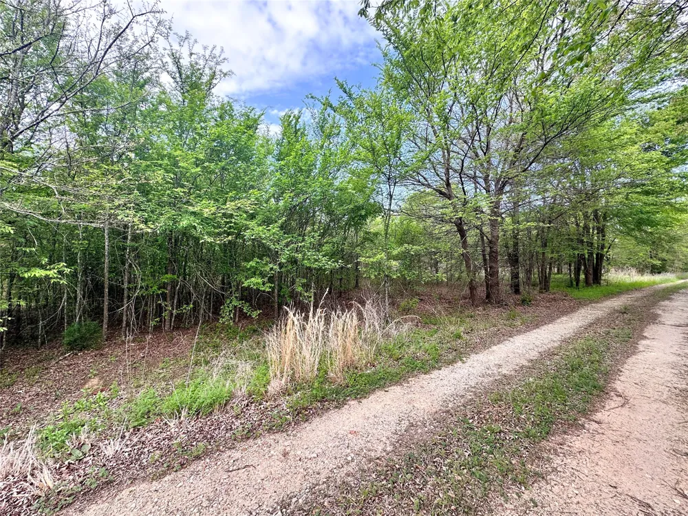 CR 3508 Murchison, TX 75756