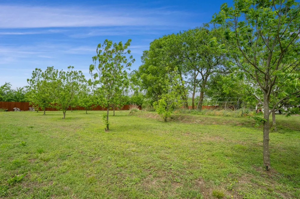 965 Farm Road 900 Saltillo, TX 75478