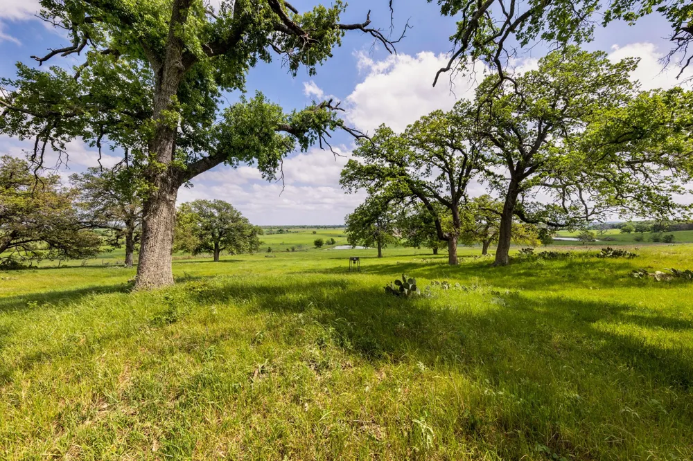 730 County Road 226A Cameron, TX 76520