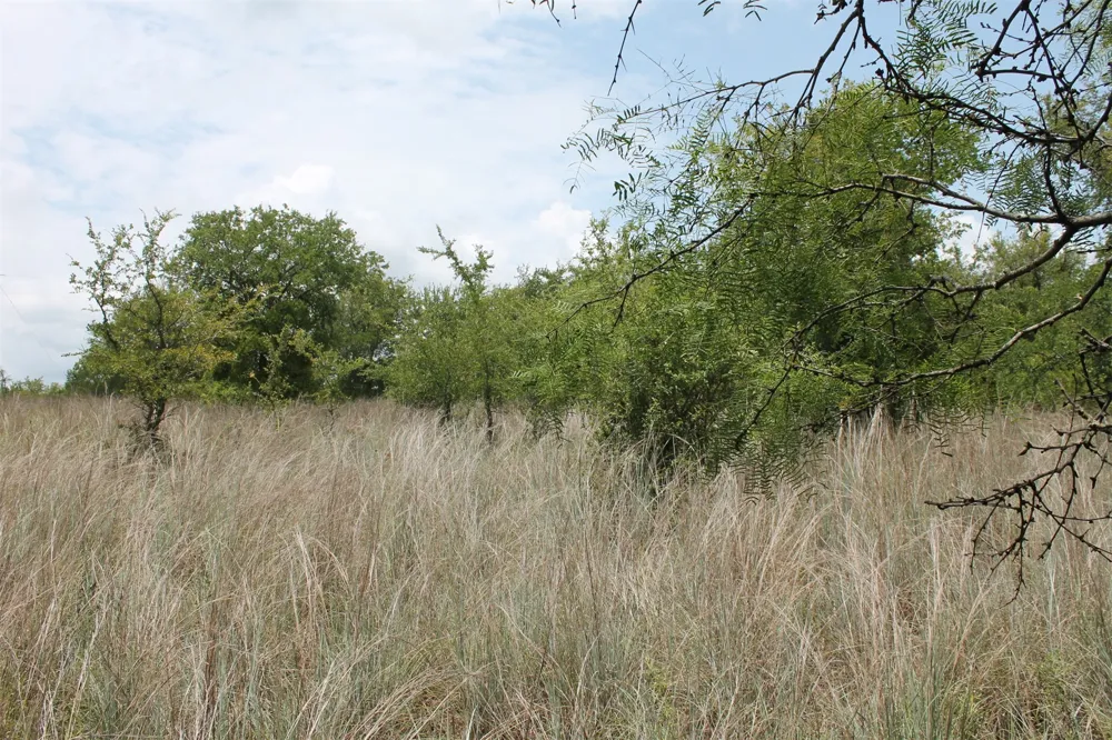 120 Demonbreun Court Chico, TX 76431