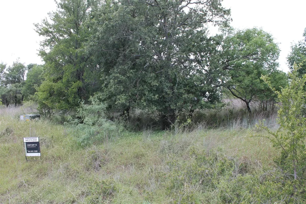 120 Demonbreun Court Chico, TX 76431