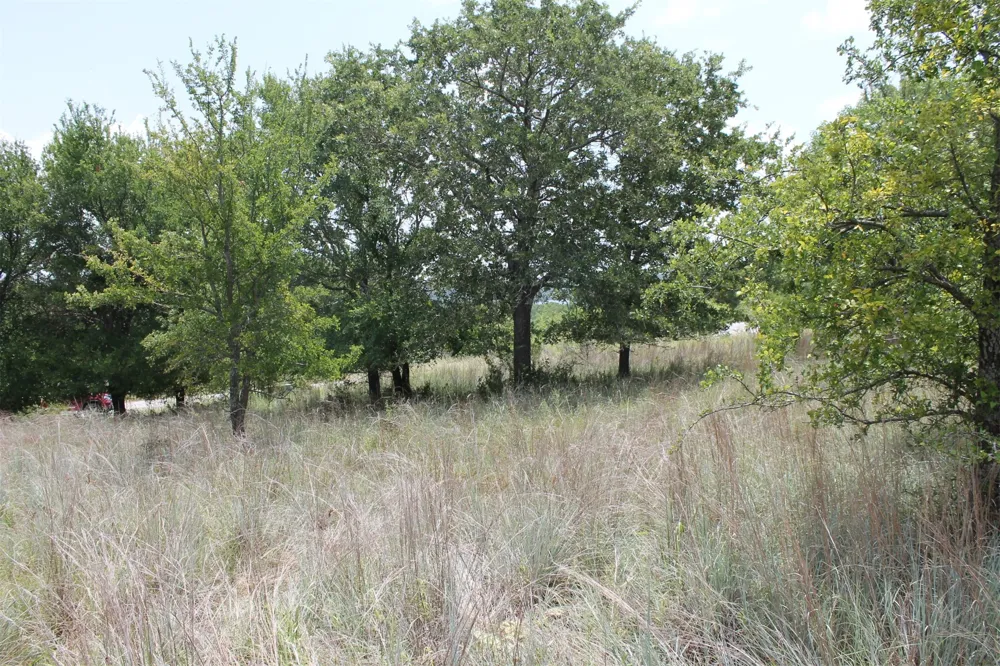 120 Demonbreun Court Chico, TX 76431