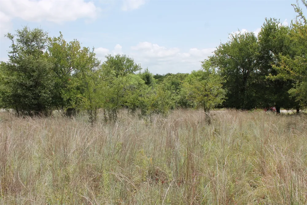 120 Demonbreun Court Chico, TX 76431