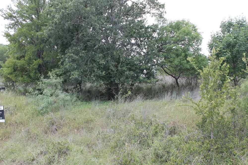 120 Demonbreun Court Chico, TX 76431