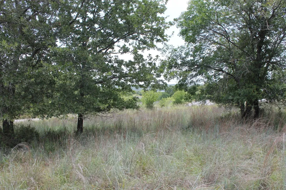 120 Demonbreun Court Chico, TX 76431