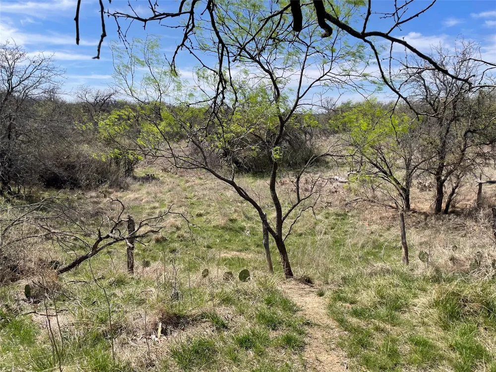 C R 195 Breckenridge, TX 76424