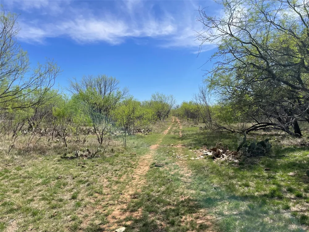 C R 195 Breckenridge, TX 76424