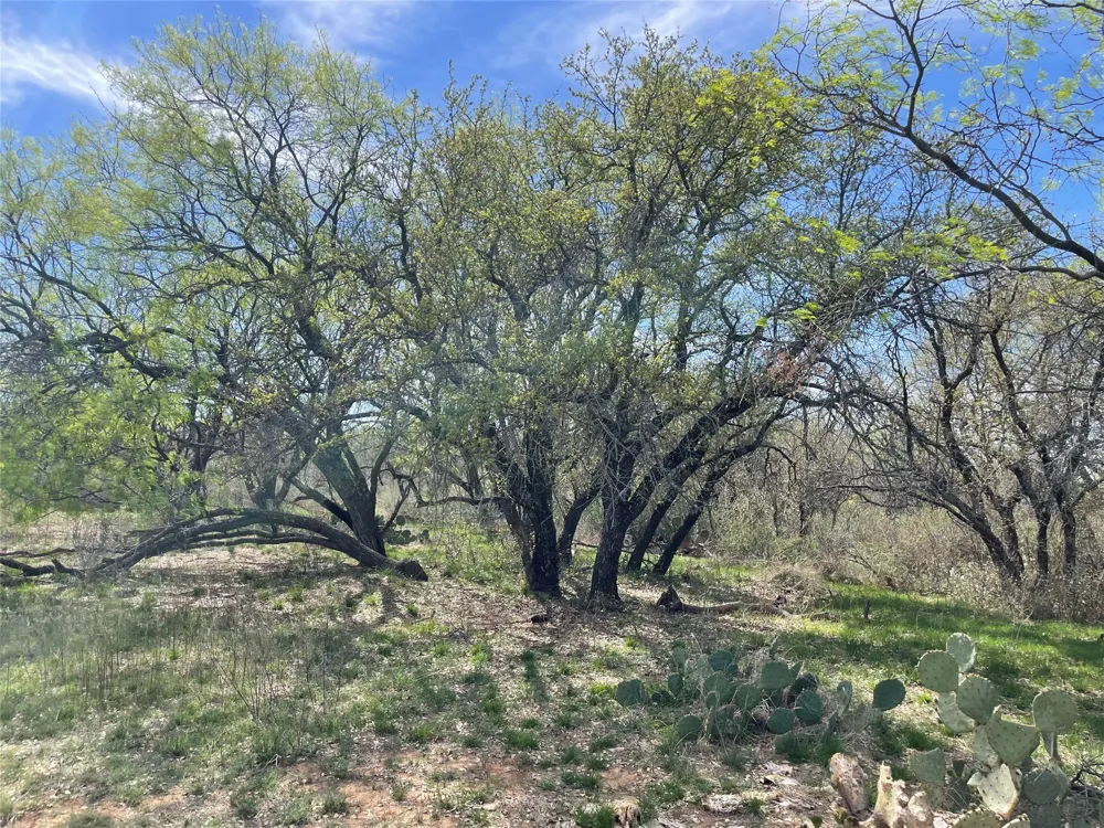 C R 195 Breckenridge, TX 76424