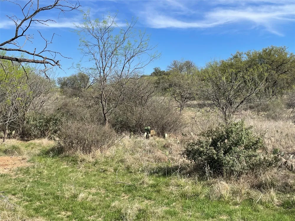 C R 195 Breckenridge, TX 76424