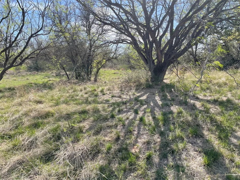 C R 195 Breckenridge, TX 76424