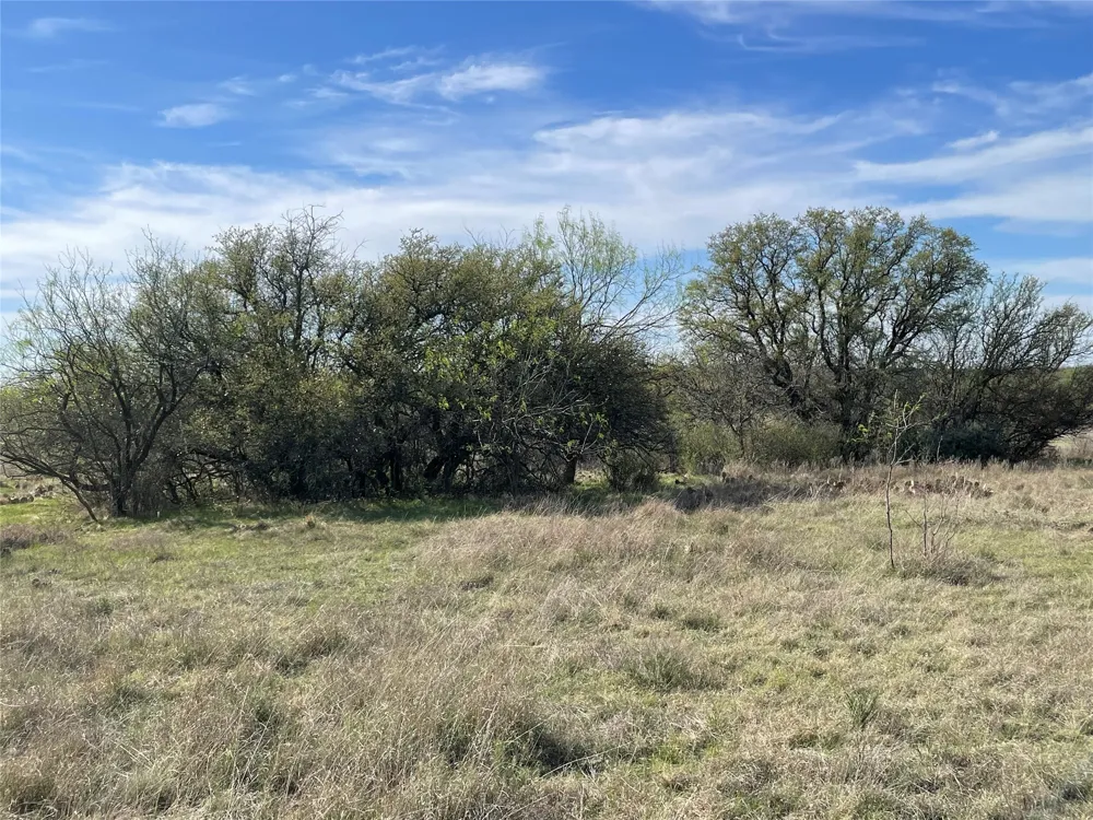 C R 195 Breckenridge, TX 76424