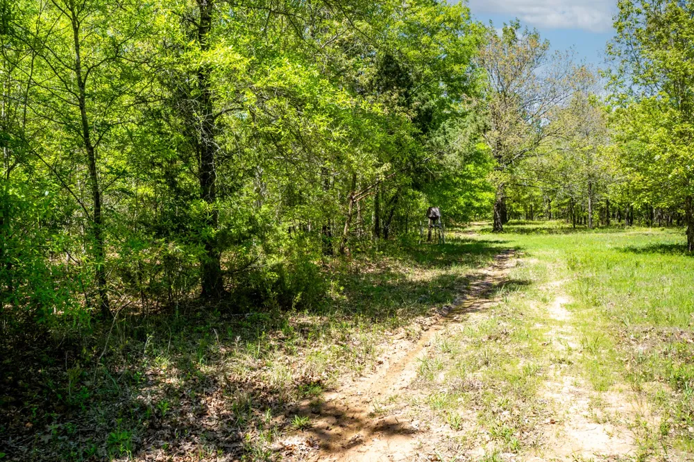 FM 196 Deport, TX 75435