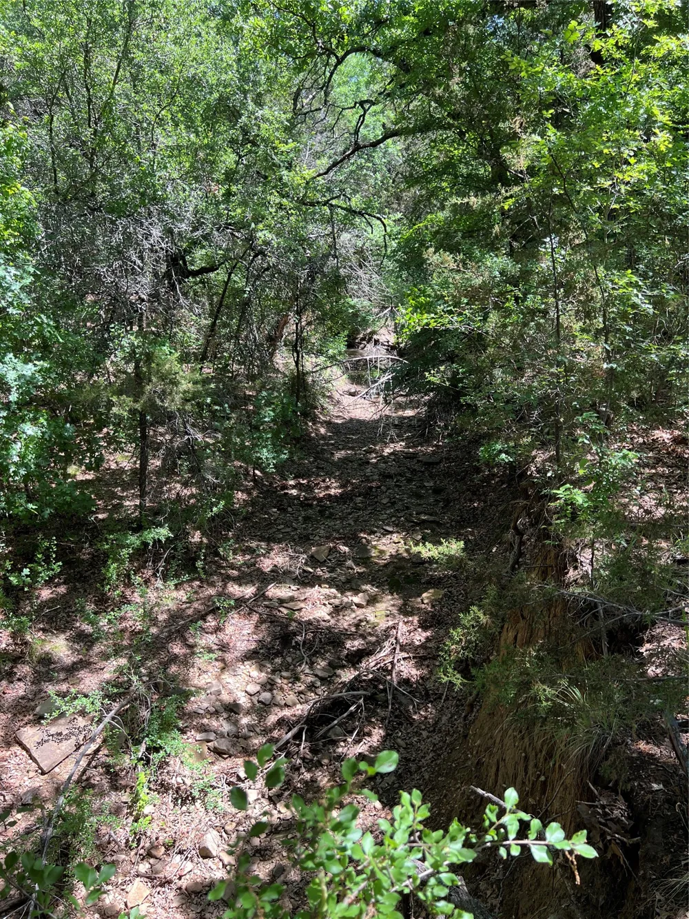 Lake Creek Road Gordon, TX 76453