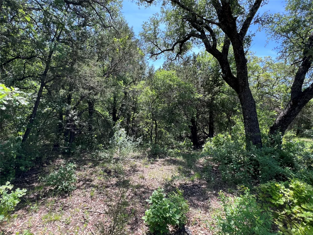 Lake Creek Road Gordon, TX 76453