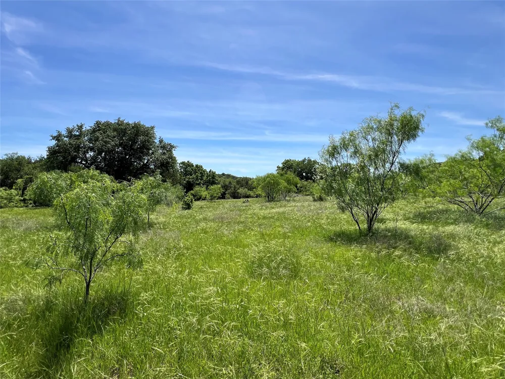 Lake Creek Road Gordon, TX 76453